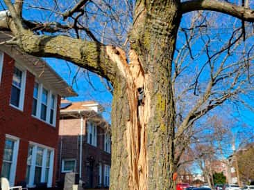 Storm, Wind and Hurricane Damage